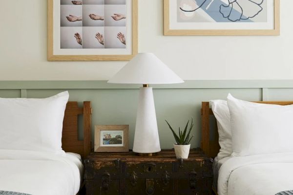 A bedside table with a lamp and small plant is between two beds. Photos hang on the wall above the table.