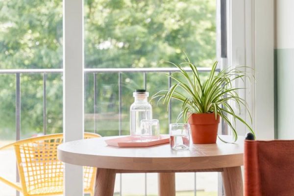 A small round table by a window with a potted plant, a glass carafe, a glass, and an orange tray. The background shows a balcony with greenery outside.