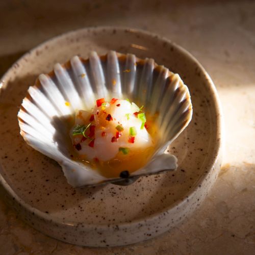 A soft-boiled egg in a scallop shell on a speckled plate, topped with chives and red seasoning, bathed in warm sunlight.