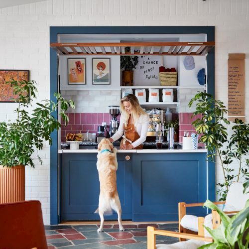 A sunlit kitchen with a blue island, shelves loaded with jars, a cat on the counter, a woman leaning on the island, and plants nearby.