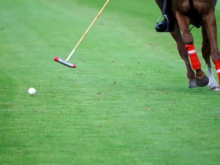 The image shows a polo player on horseback aiming at a white ball with a polo mallet on a grassy field.