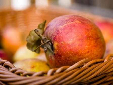 A basket filled with apples, with one prominently in the foreground showing a mix of red, yellow, and orange hues.