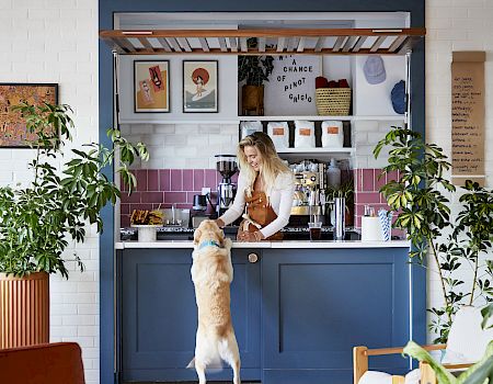 A woman stands behind a blue counter inside a cozy, plant-filled cafe. A dog stretches up to her on its hind legs. The cafe decor is inviting.