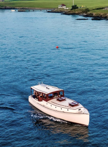 A white boat cruises on a calm body of water with a green shoreline in the background, including some buildings and docks.