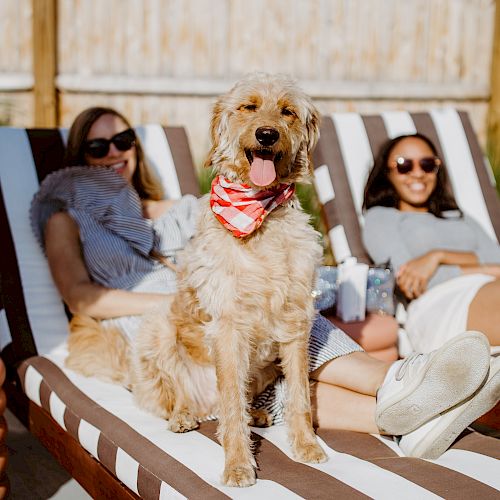 Two people are relaxing on sun loungers, smiling, with a happy dog wearing a red bandana sitting in front of them.