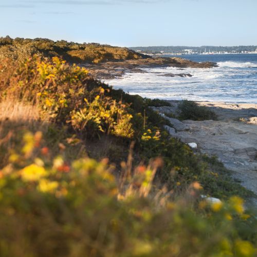 Sunlit rocky coastline with waves crashing, scrubby bushes in the foreground, and a distant harbor under a blue sky.