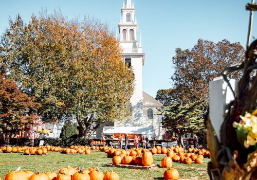 A sunny autumn scene with rows of pumpkins in front of a white church tower surrounded by colorful trees.
