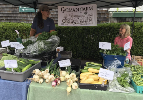 Two people stand behind a farm stall at a market selling fresh vegetables like cucumbers, onions, zucchini, and spinach.