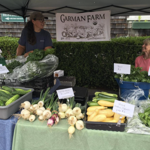 Two people stand behind a farm stall at a market selling fresh vegetables like cucumbers, onions, zucchini, and spinach.