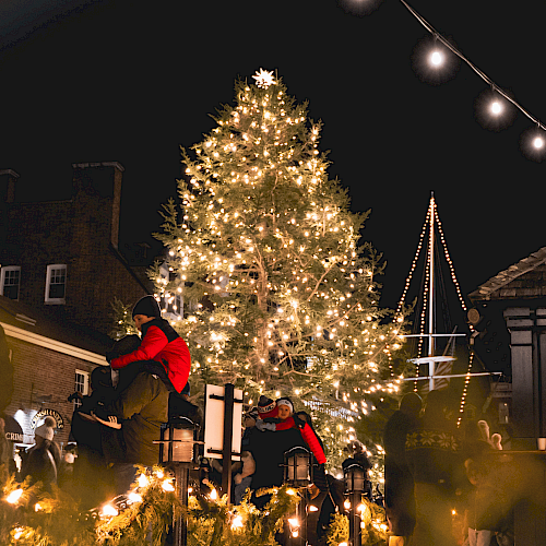 A large, beautifully decorated Christmas tree illuminated with holiday lights at night, surrounded by people bundled up in warm clothing.