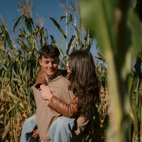 A boy and a girl cuddle and smile in a sunny cornfield, surrounded by tall green stalks and blue sky.