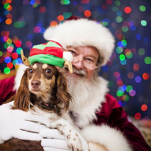 A person dressed as Santa Claus holds a dog wearing a festive hat, with colorful lights in the background.