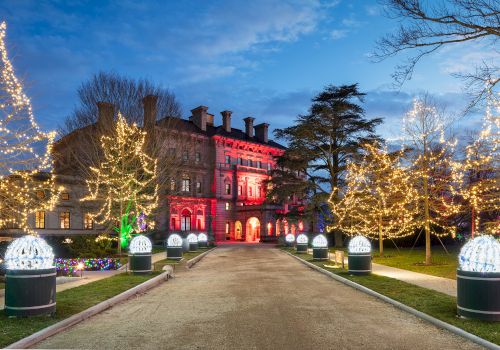 A grand building beautifully lit with colorful lights, surrounded by decorated trees along a pathway, creating a festive atmosphere.