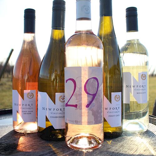 The image shows five wine bottles arranged on a wooden surface outdoors, with labels visible, including one marked with the number "29."