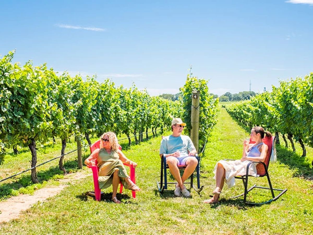 Three people sit on chairs between vineyard rows under a clear blue sky, enjoying the sunny weather in a lush green landscape.