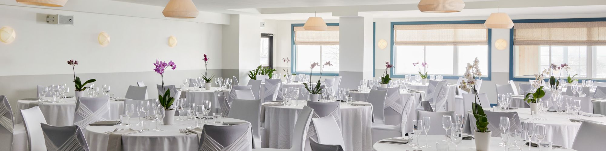 A banquet hall with white tablecloths and chairs, with table settings and purple flowers, lit by pendant lights.