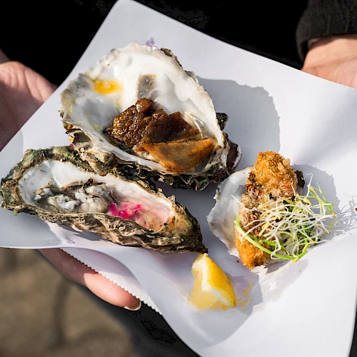 A pair of hands presents a white plate holding three garnished oyster shells, each topped with different ingredients.