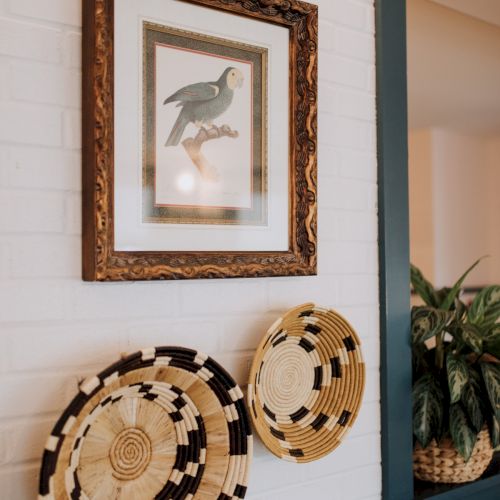 A framed parrot illustration and two woven baskets hang on a white brick wall, with a potted plant nearby.