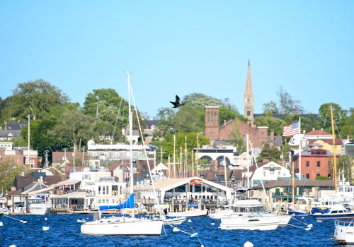 A picturesque harbor scene with sailboats on the water and a town with a church and trees in the background under a clear blue sky.
