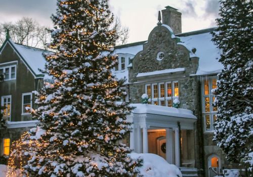 A snow-covered, festive house with a decorated Christmas tree and twinkling lights in a winter setting, creating a cozy holiday atmosphere.