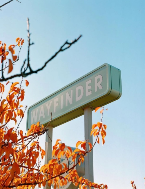 A sign reading "WAYFINDER" is surrounded by orange autumn leaves against a blue sky.