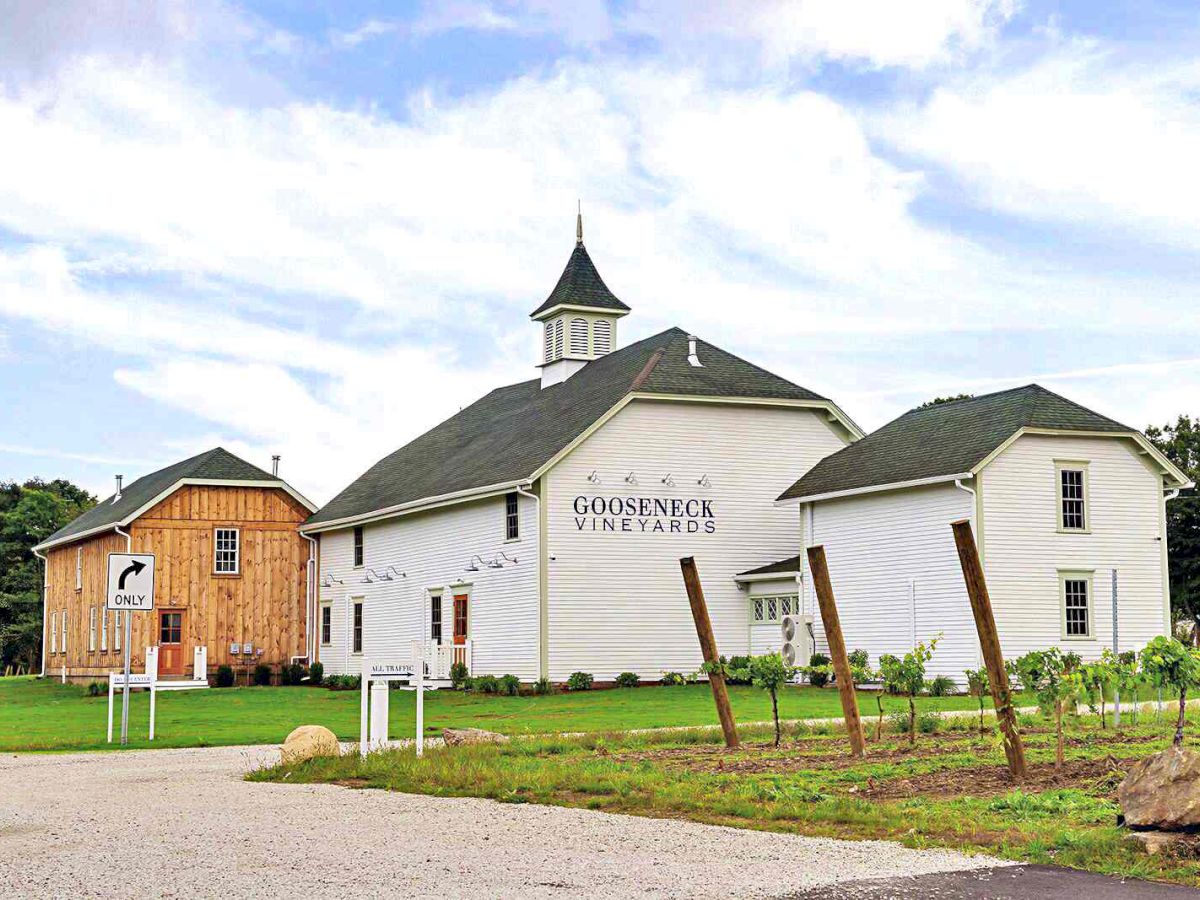 A white barn labeled &ldquo;Goose Creek Vineyard&rdquo; with a small beige shed nearby, green lawn, vines, and a clear blue sky above.